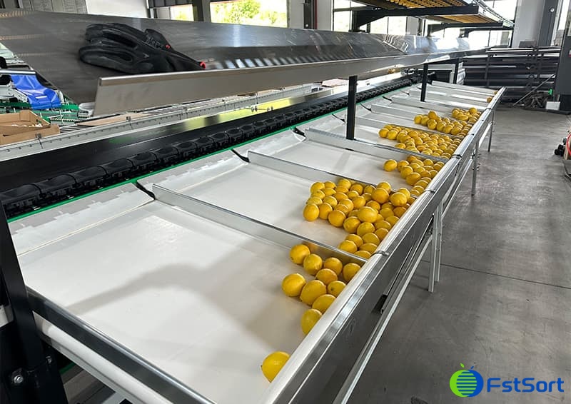 images/1715673836804lemon fruit grading euipment.jpg